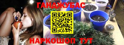 гидра Волжский