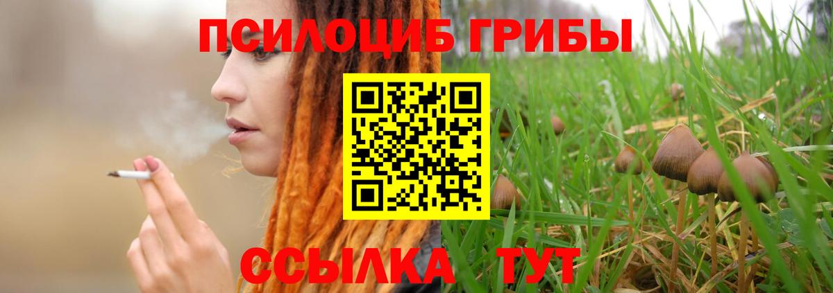 Галлюциногенные грибы GOLDEN TEACHER Сургут